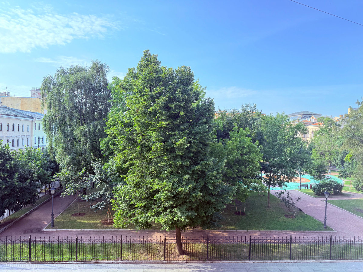 Вид из окон квартиры на сад Даниила Гранина