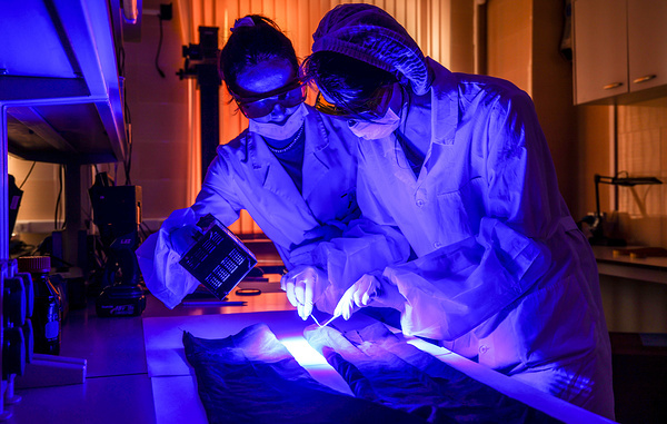 Владимир Гердо/ТАСС