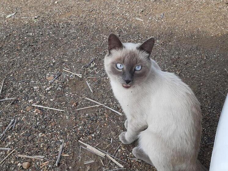     Фото: Архив МК-Урал.