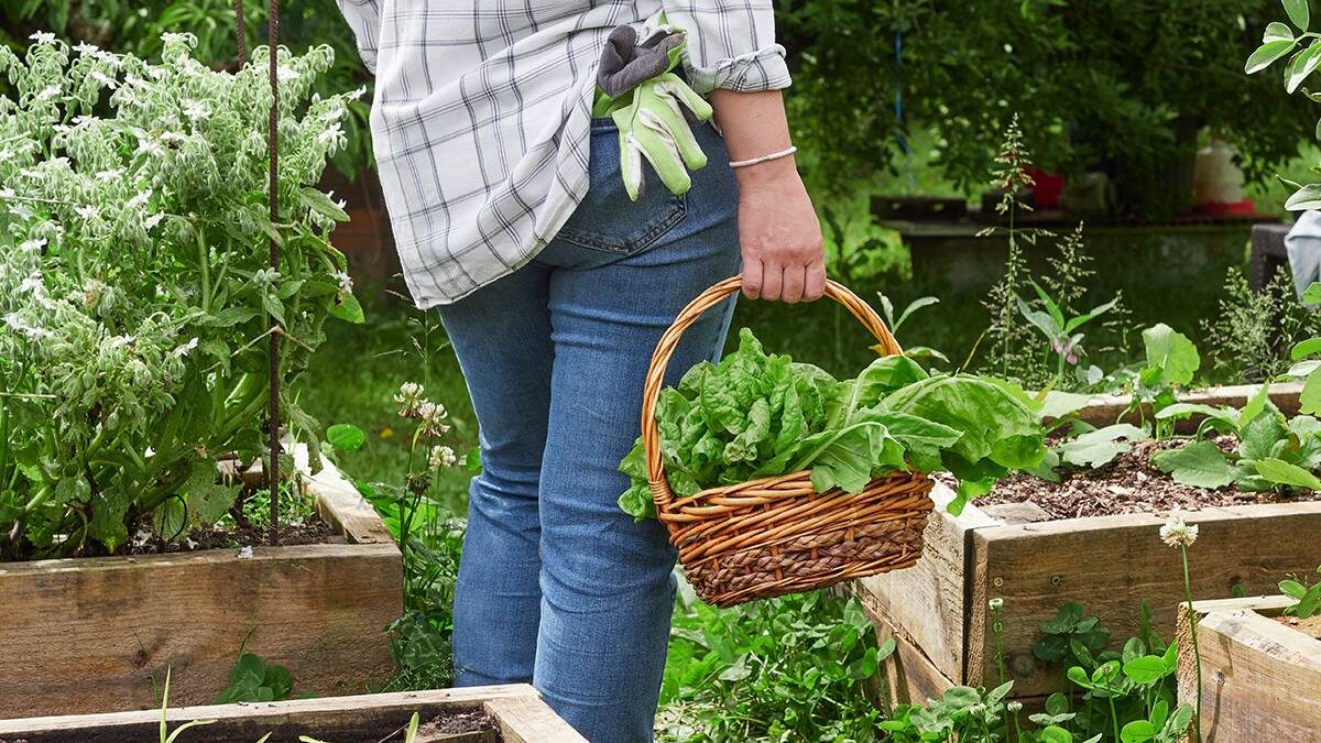    Фото: Shutterstock