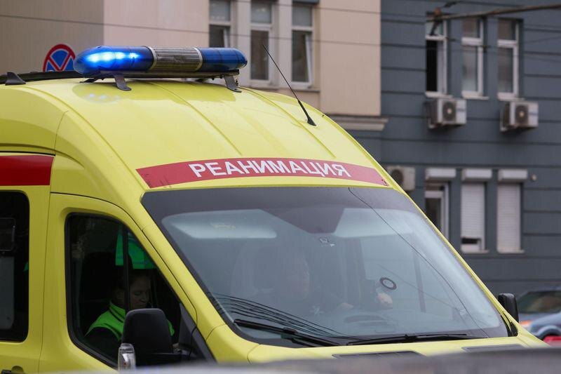    Алексей Белкин/NEWS.ru