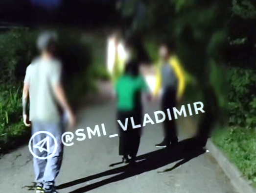 Фото с телеграм канала @SMI_VLADIMIR