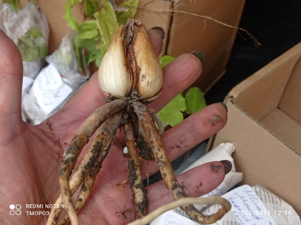 пришла, наконец