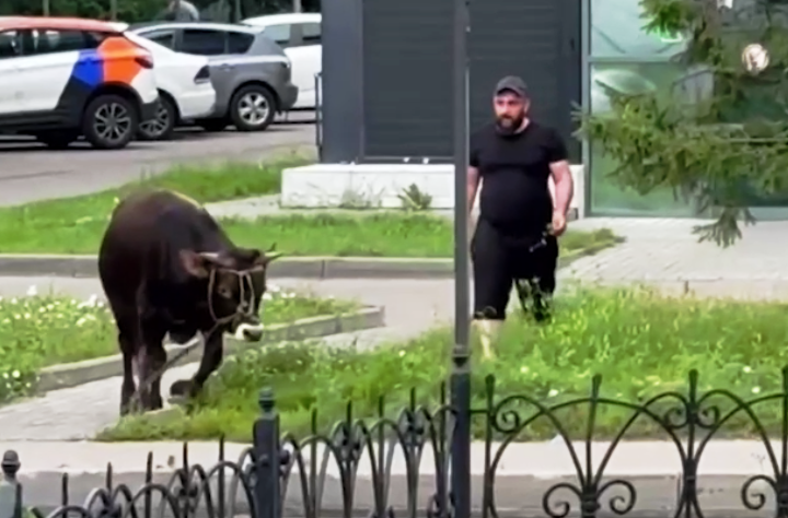 Фото из открытых источников.