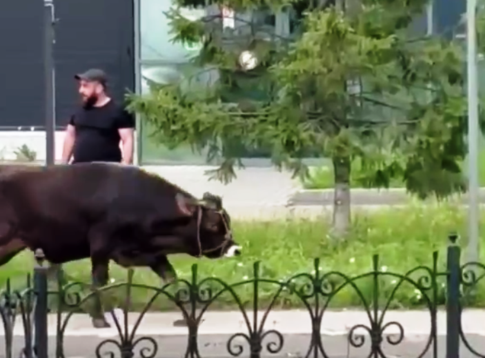 Фото из открытых источников.