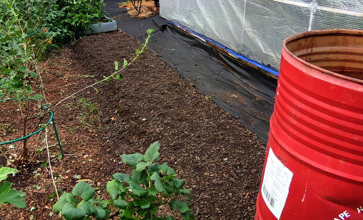 Теперь останется только посадить чеснок когда придёт время. 