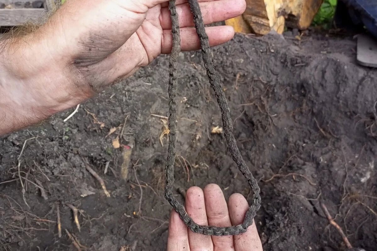    Археологи обнаружили скандинавскую цепочку в Новоржевском районе