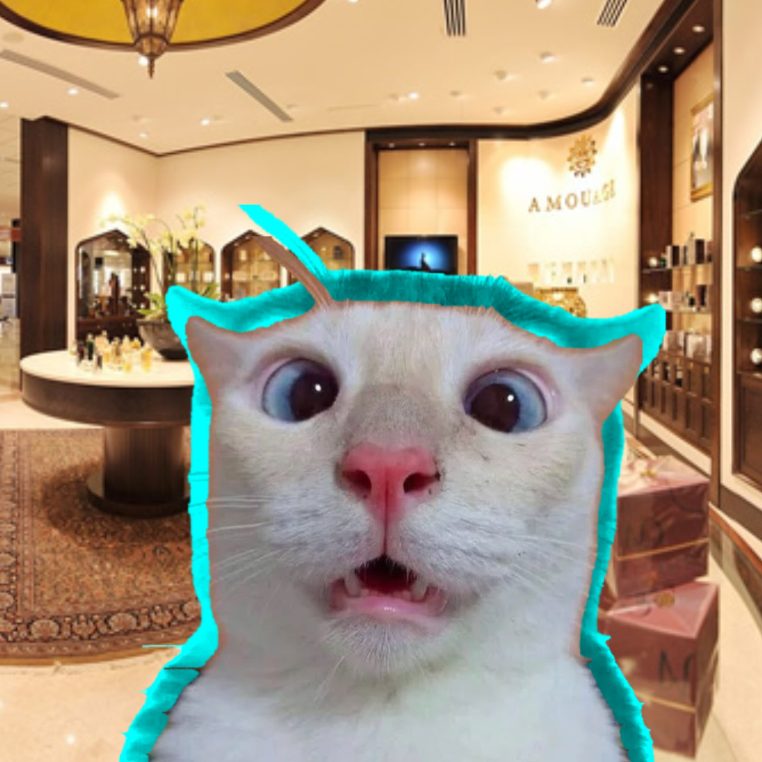 коллаж из фото из интернета