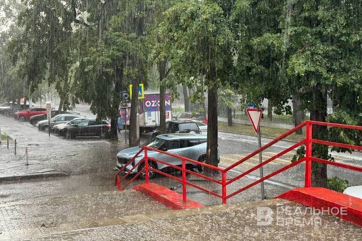   Дарья Пинегина / realnoevremya.ru