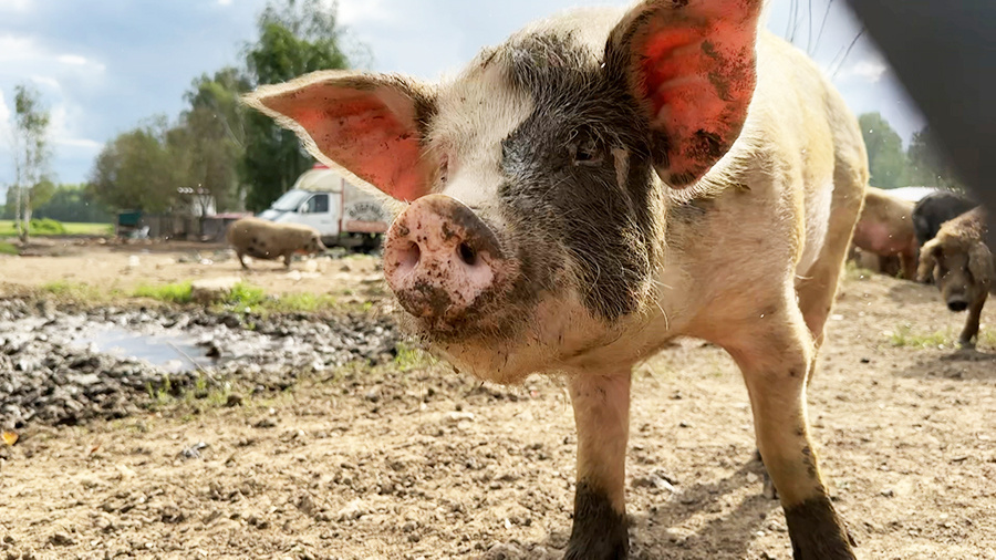    ©АО "ТВ Центр"