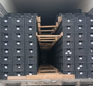 Фото: пресс-служба Уральского межрегионального управления Россельхознадзора