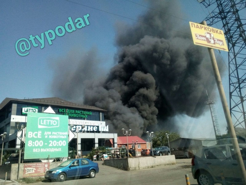    Фото: соцсети