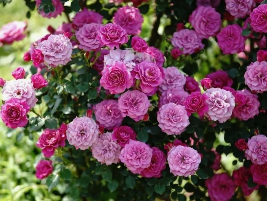 Слышали выражение "что летом соберешь, то зимой и найдешь"? Вот именно об этом речь.