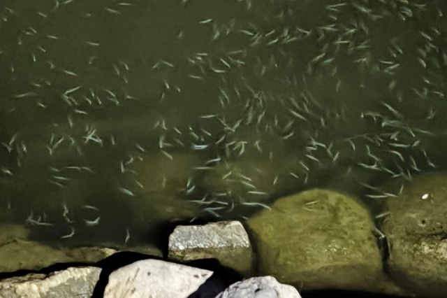   Фото: vk.com/zbtu39_ru