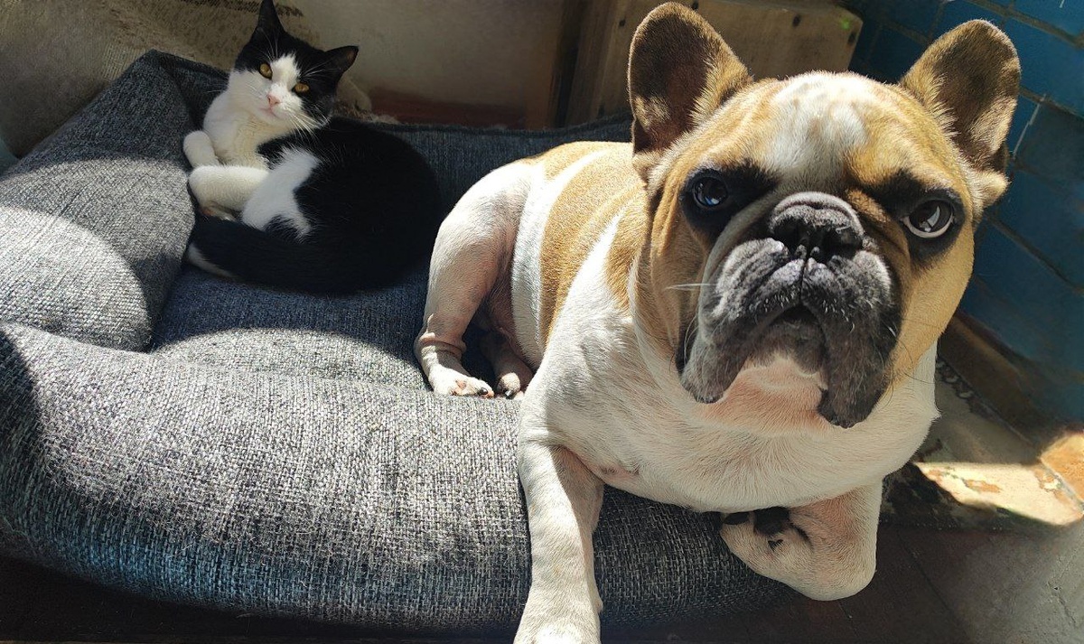 Асенька со своим другом и охранником