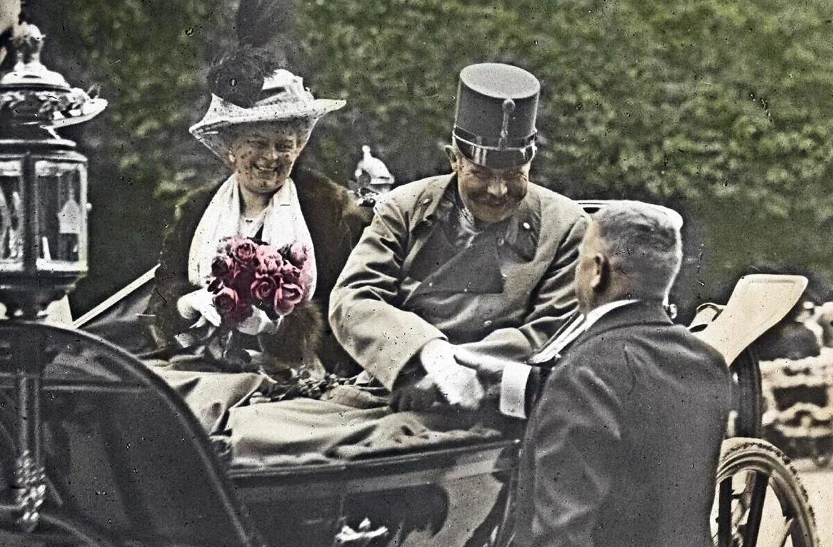 Убийство 28 июня 1914 года эрцгерцога Франца Фердинанда, наследника австро-венгерского престола, и его жены герцогини Софии Гогенберг в Сараеве сербским гимназистом Гаврилой Принципом, входившим в группу из шести террористов, координировавшихся Данилой Иличем.