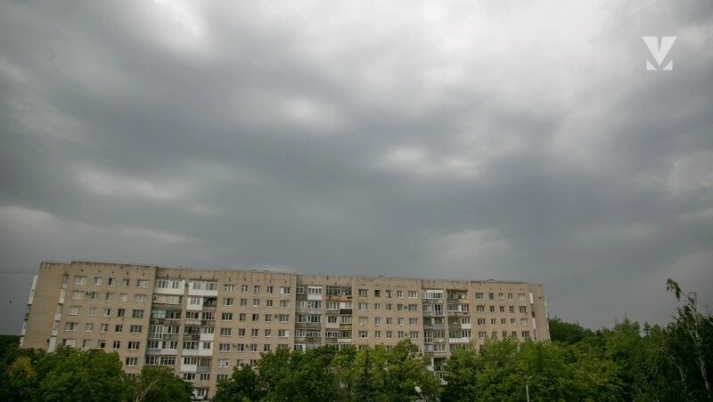      Фото: Валерия Алтухова / / ИА «Победа26»