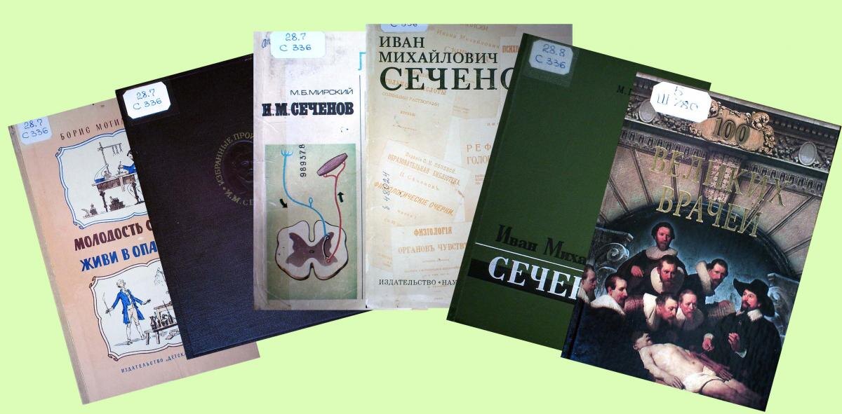 Источник: nbmariel.ru