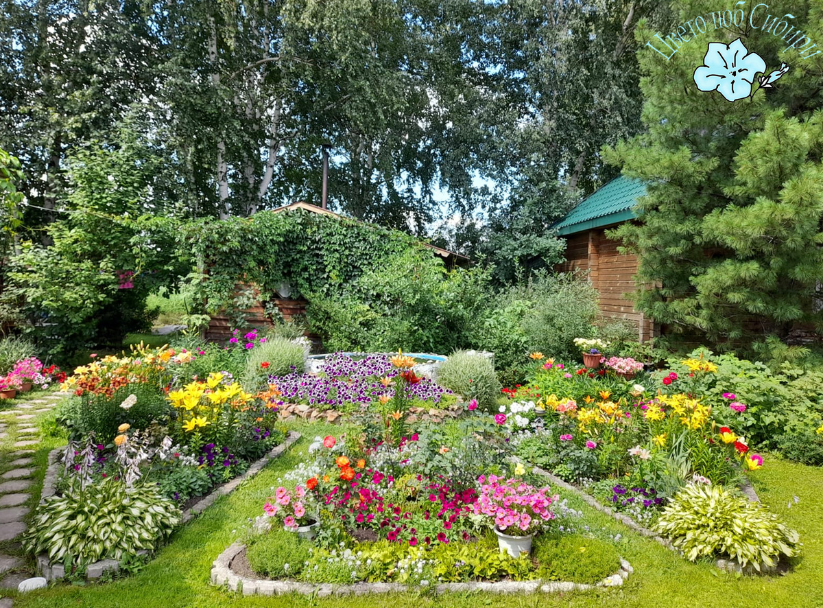 Видите розы в моем цветнике? А они там есть)))