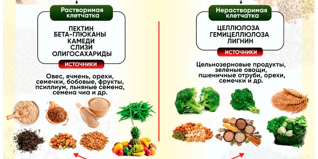 🌱Как клетчатка помогает в лечении жирового гепатоза?