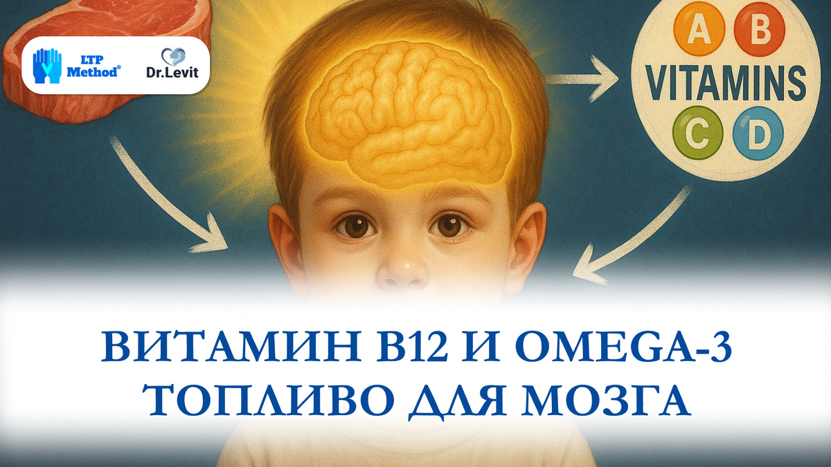 В12 участвует в формировании миелина, а омега-3 поддерживает нервную систему