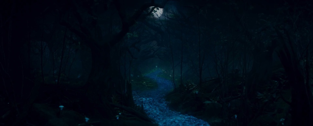 Дорога ведем