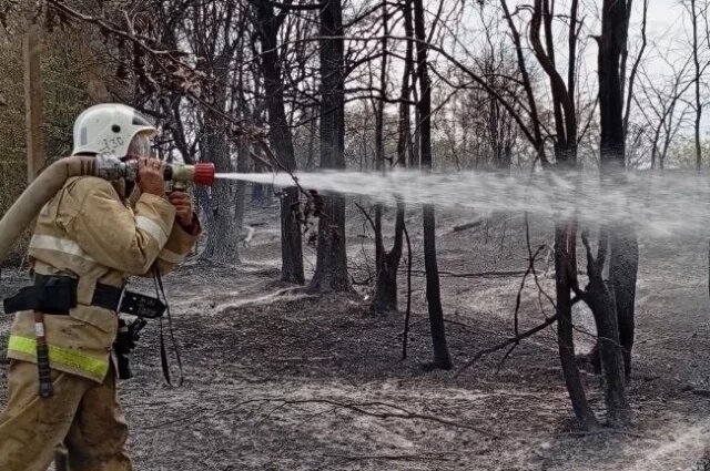   Крыму тушат крупные ландшафтные пожары: что известно?