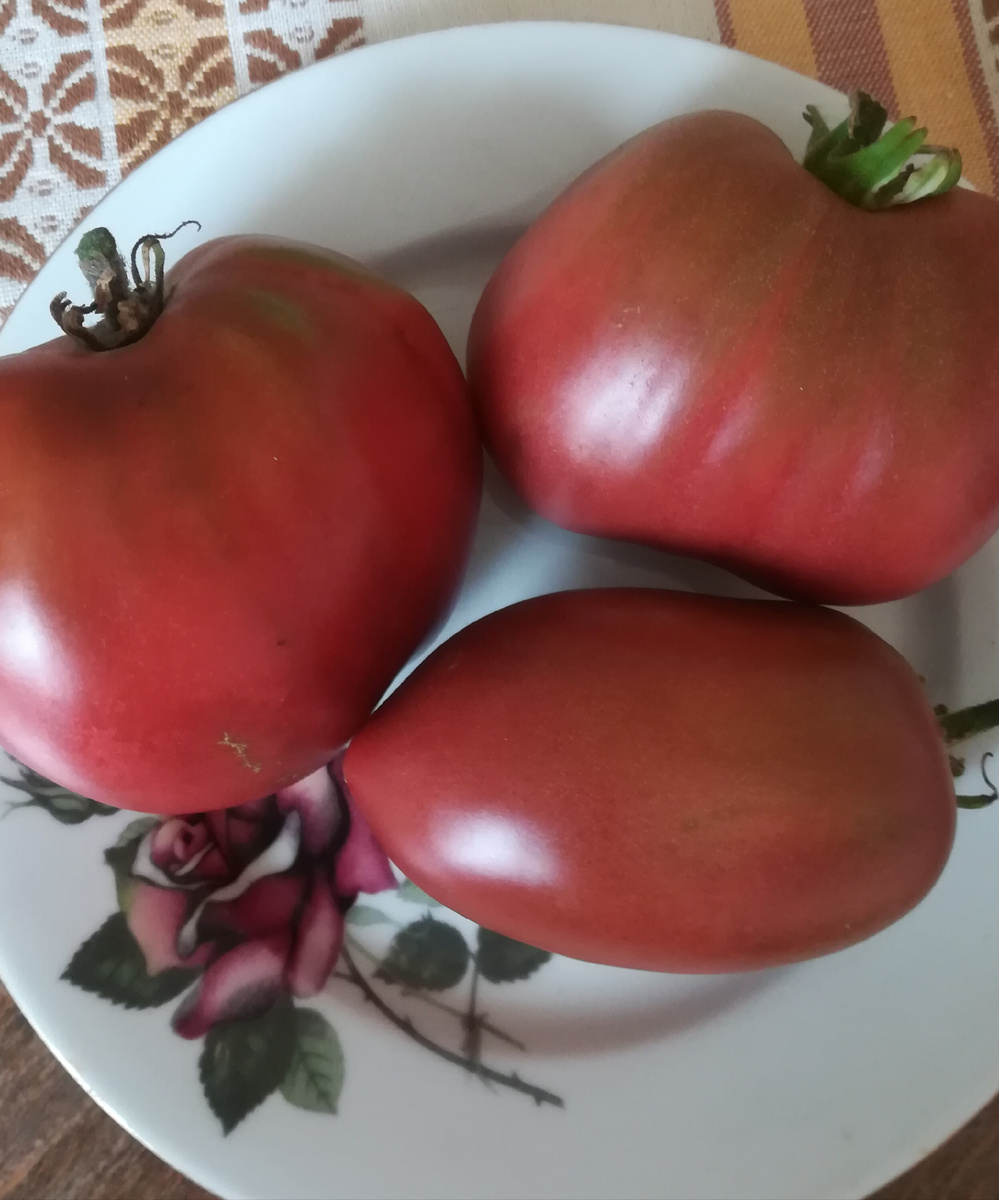 Помидор "Сосулька черная"