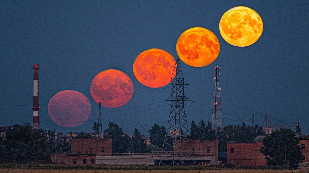 Фото предоставил Михаил Прохоренко