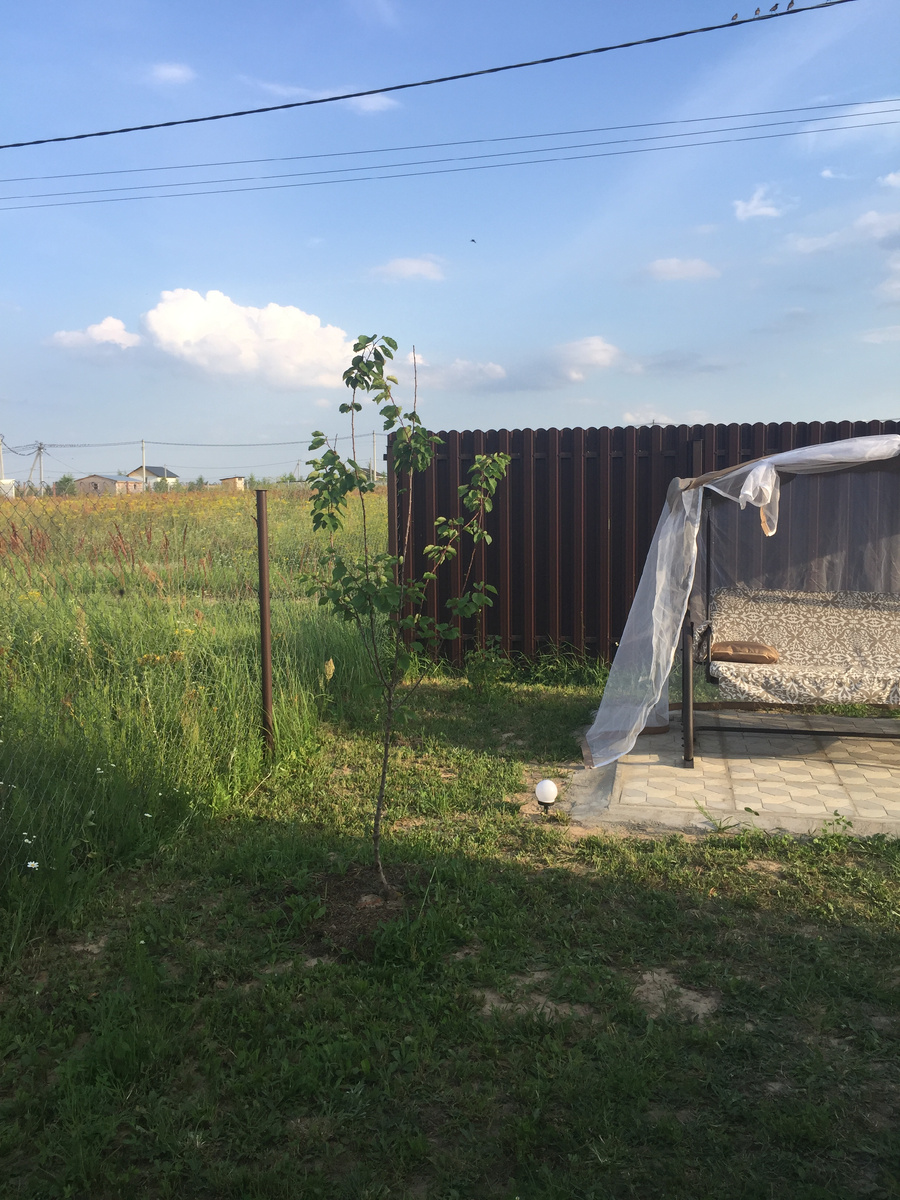 2024 год. прошло 2 месяца после посадки