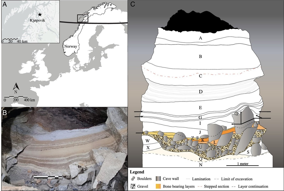    Пещерная система Сторштайнхола в деревне Кьепсвик в муниципалитете Нарвик, Нордландия. Фото: Труды Национальной академии наук (2025). DOI: 10.1073/pnas.2415008122