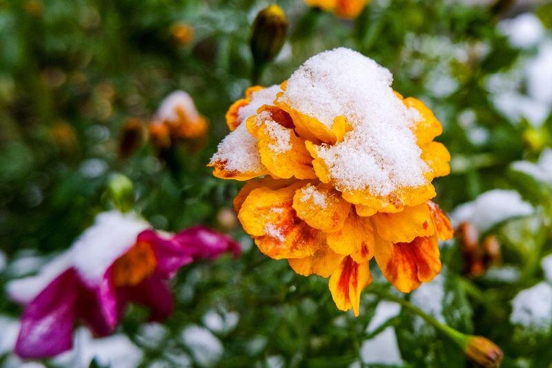    Сергей Лантюхов/NEWS.ru