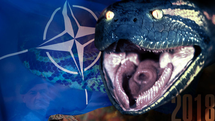    Согласно плану "Анаконда" Россия должна была рухнуть и развалиться ещё в 2014 году, сразу после возвращения Крыма. Коллаж Царьграда