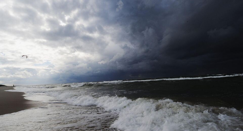    РИА «Новости»