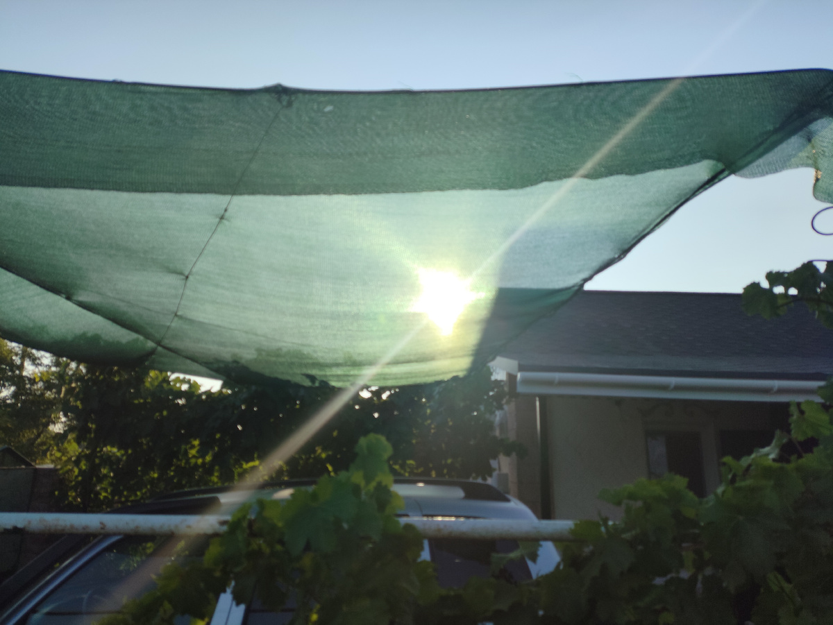 И здравствуй, солнышко!