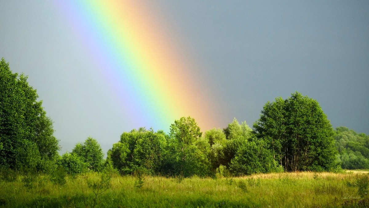 Фото из интернета.