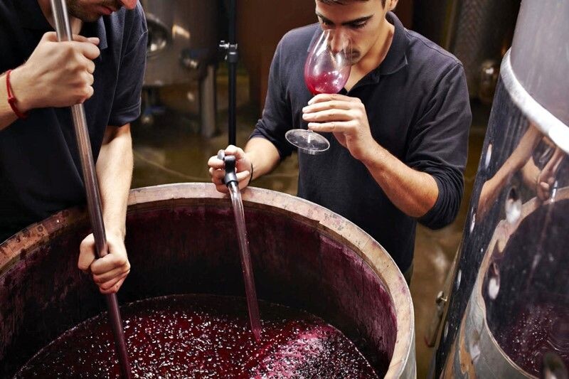 Фото из открытых источников 