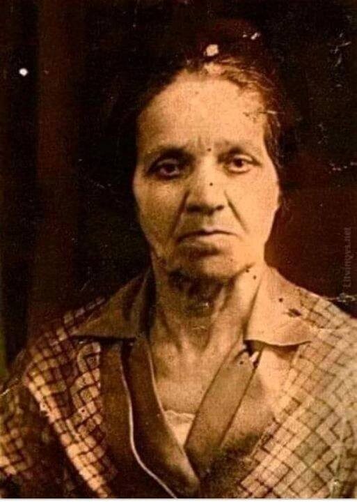 Автор: https://static.tildacdn.info/tild3565-3031-4934-b433-303035363334/scale_1200_3_2.png