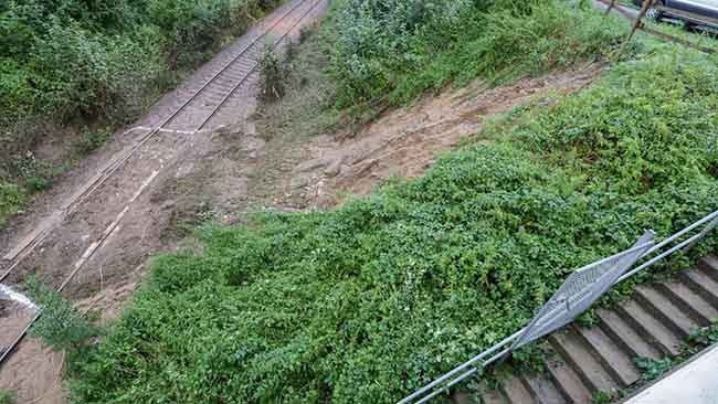 Оползень, обнаруженный лично министром федеральной земли Баден-Вюртемберг Х/ Twitter