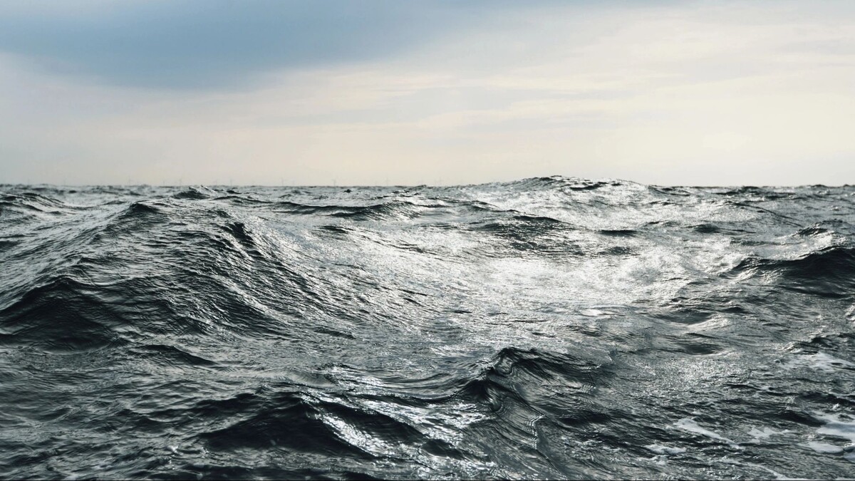    Фото: Aastels/Shutterstock/Fotodom