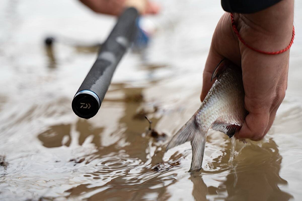    Фото: Мир охоты, Источник: huntworld.ru