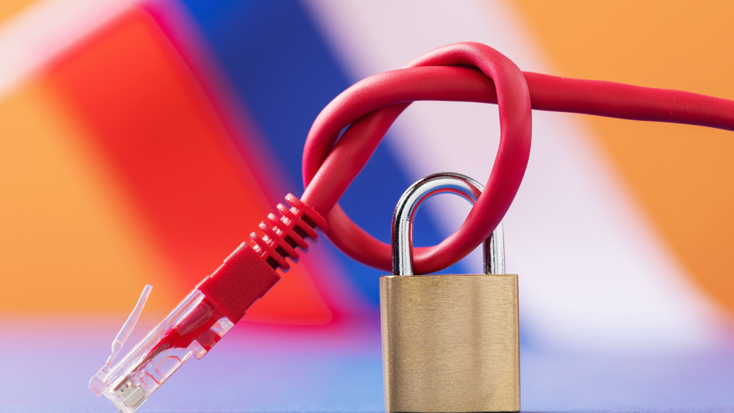    Фото: SergeyCo/shutterstock