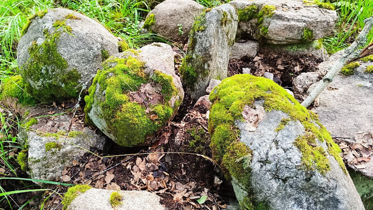Старый финский заваленный колодец.