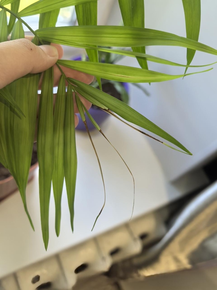 Фото:https://m.vk.com/wall-203705260_554270?from=post