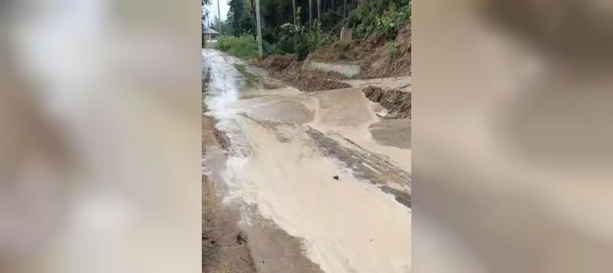    Фото: Ямное. Новости