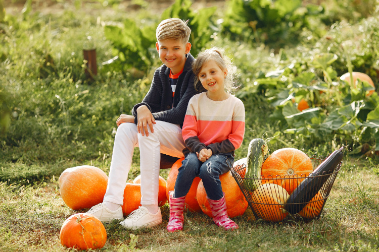    Фото: freepik.com