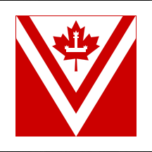 Флаг 9-го конгресса(вариант 1). Я специально обвёл белые части, чтобы они не сливались с фоном. Источник: flags of the world.