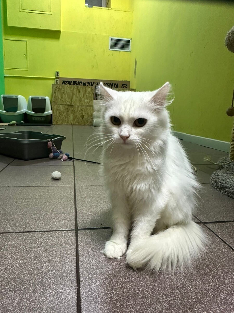 Никому не здрасьте