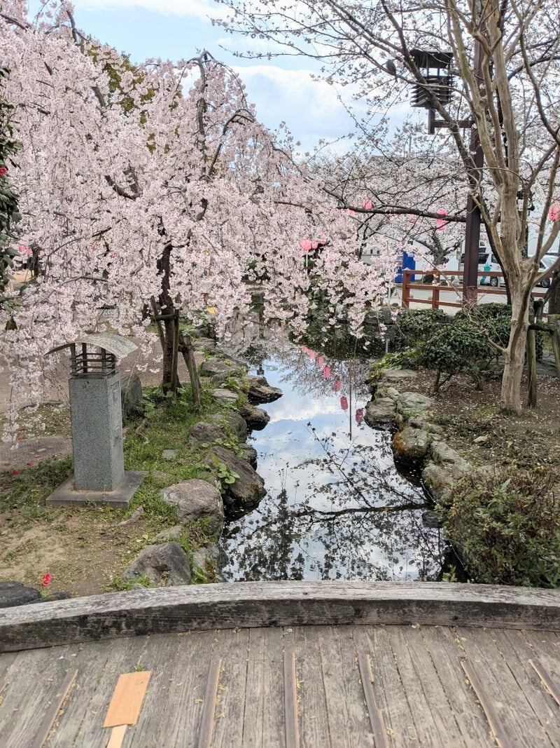 В парке протекает небольшая речка. Собственно, Эгава — это «Китайская река», если дословно.