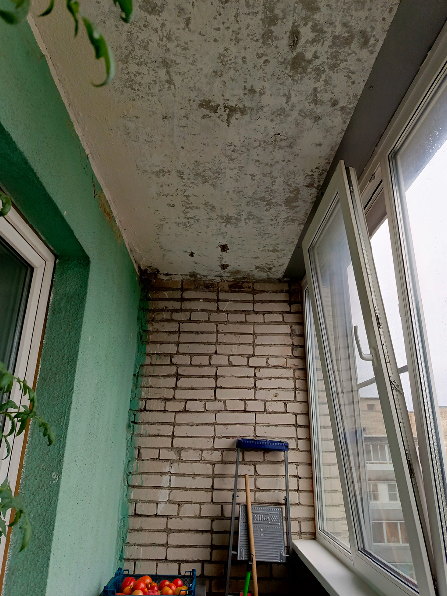 Потолки постоянно сыпятся.